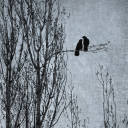 commanderofcrows avatar