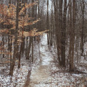 commitmenttosparklemotion avatar