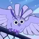 committedcrocodile avatar