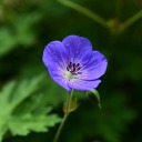 committedtothebit2 avatar