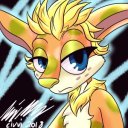 commodore-jeep-eep-blog avatar