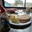 commonsensenovice avatar