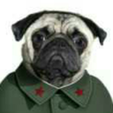 communistpug avatar