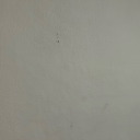 community-sub-boy avatar