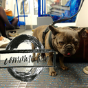 commutebloglondon avatar