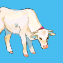 comorbidcow avatar