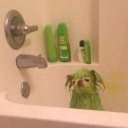 comosivalieralapena avatar