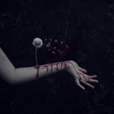 compass-and-keys avatar