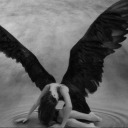 complejo-mariposa-sin-alas avatar