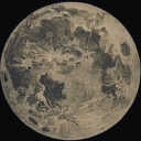 complementares avatar