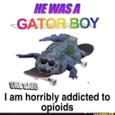 completeimbecile avatar