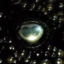 completely-legit avatar