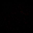 completelyyclueless-blog avatar