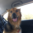 complexbydegree avatar