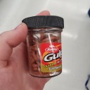 compostsquirm avatar