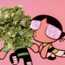 comprameunchocman avatar