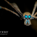 compulsive-storytelling avatar