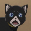 comrade-lobster avatar