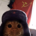 comrade-onion avatar