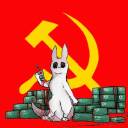 comrade-slugcat avatar