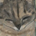 comradecompiling avatar