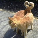 comradejepsen avatar