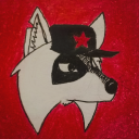 comraderaccoon avatar