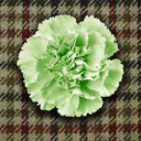 conan-doyles-carnations avatar