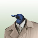 concerned-about-crows avatar