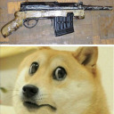 concerneddogegun avatar