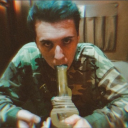 concretdandelion avatar