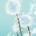 concrete-dandelion avatar