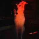 concrete-eater0 avatar