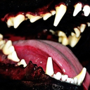 concretefeelings avatar