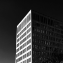 concretegrape avatar