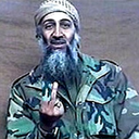 concretesprout avatar