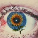 condemnedouthouse avatar