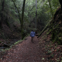 condition-rinse-repeat avatar