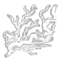 conductivecaduceus avatar