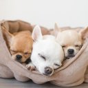 conectacristo avatar