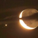 conejitacobrde avatar