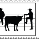 conestogavvagon avatar