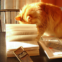 confessions-of-a-bad-writer avatar