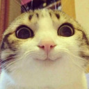 confessions-of-a-fat-kid avatar