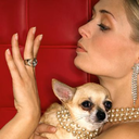 confessions-of-a-sugarbaby avatar