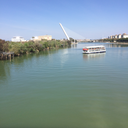 confessionsofacox avatar