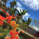 confessionsofascientist avatar