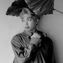 confessionsofashyfangirl avatar