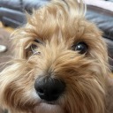 confetti-smoker avatar