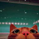 confettifright avatar